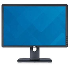 Značkový monitor - LCD 22" TFT DELL P2213
