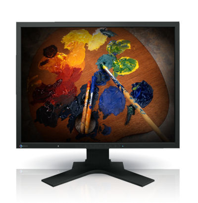 Špičkový IPS monitor - Monitor 21,3" IPS EIZO Flex Scan S2133