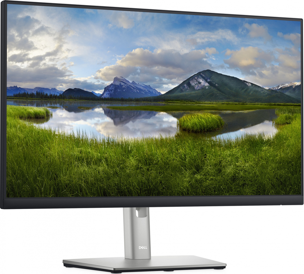 Profesionální  monitor - LCD 24" IPS LED DELL P2422H - Repase