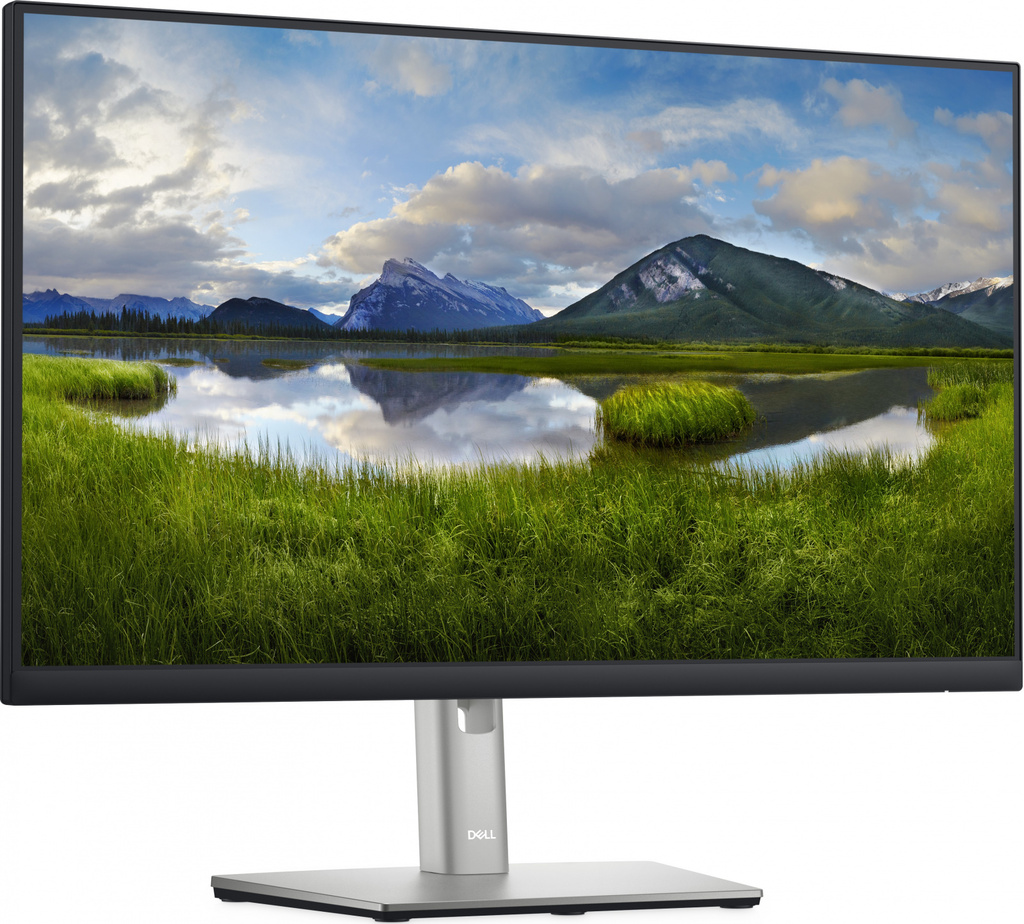 Profesionální  monitor - LCD 24" IPS LED DELL P2422H stav "B" - Repase